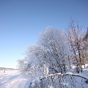 Lac de Joux - 231